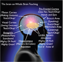Whole brain metoda učenja 